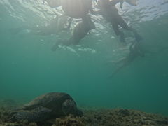 ݂OCEANZ - I[VYւ̓eʐ^1