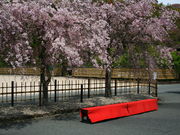 CCꃉC_[̎ROY̌npqY̓eʐ^2