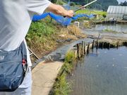 korô܂߂̒ނx̓eʐ^1