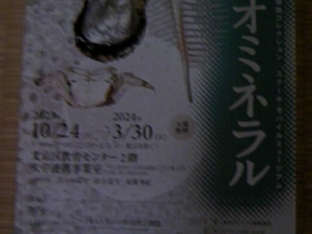 ʊيW`Vi拳Z^[QKj_C^[fBAeN