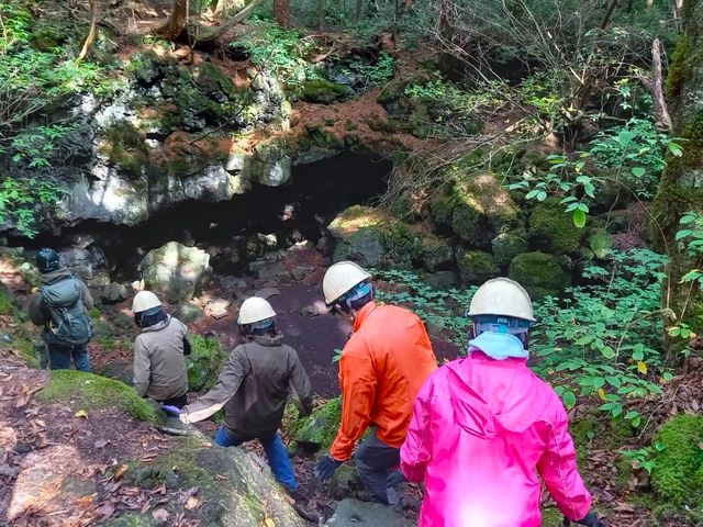 �������A��_�y�m�G�R�c�A�[�E�T�[�r�X