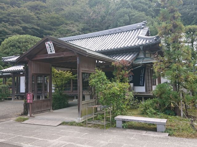 �g������̑�68�ԎD���@�_�b�@�̓��e�ʐ^2