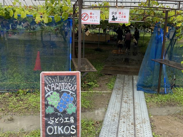 �����_�Ԃǂ��H�[OIKOS