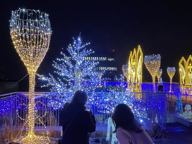 ����͐�i�B�݂�ȁu�킟���v�Ƃ��������o���Ă��܂����B_�A�N���X�����C���~�l�[�V����