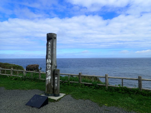 �[���z��