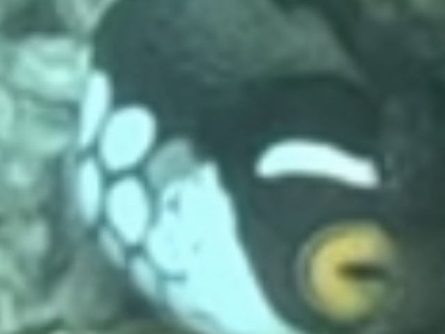 ���O�c���ׂĂ݂܂� _�s�[�X