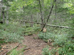 }Cann̗YxR[̌nтւ̓eʐ^1