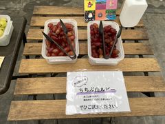 gV̂ԂǂH[OIKOSւ̓eʐ^2