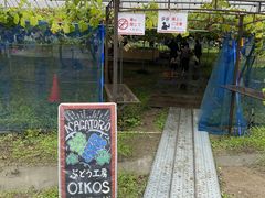 gV̂ԂǂH[OIKOSւ̓eʐ^4