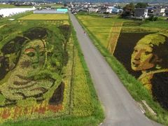 田舎 安い 館 村石 の アート