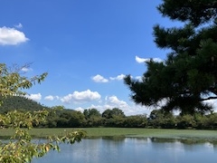 ̂̉ sό^NV[ւ̓eʐ^2