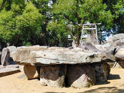 ̂Ԃ̂Ԃ|_ЁiB@lʋ{j̓eʐ^4