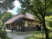 harusu̓̉w R܂̓eʐ^2