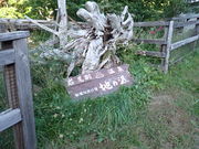 }Cann̔鋫m̏h@n̊U̓eʐ^1