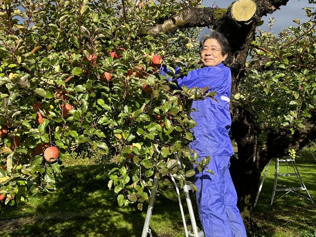 �J�オ��̂�񂲎��_�����_��