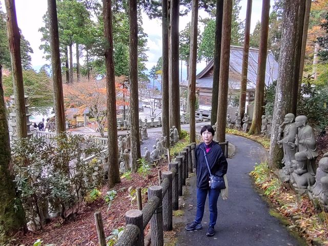 Qɂ͌ԂȂΕсAQq҂o}ĂĂ__ӎ