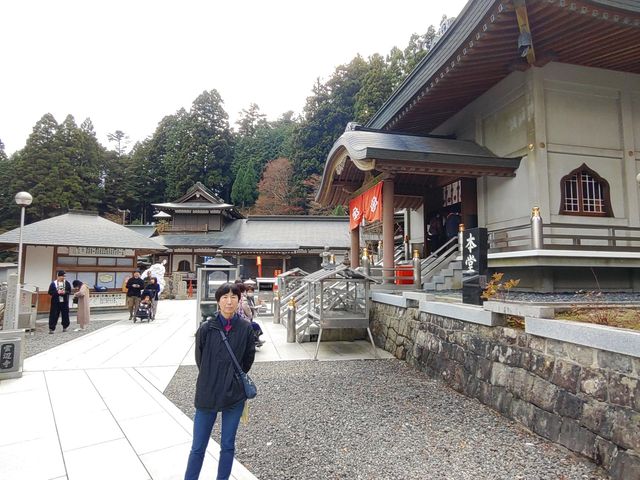 ]ɂɐĂ邽ߑS̓Iɐ^VĂ܂__ӎ