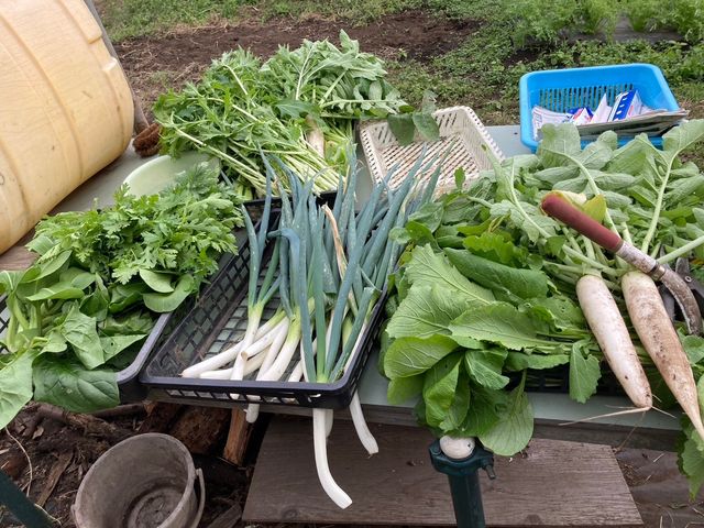 ��������̖�؁I����ȊO�ɂ��T�c�}�C���Ɨ��Ԑ��Ƒ��ɂ��F�X!_�����n���_��