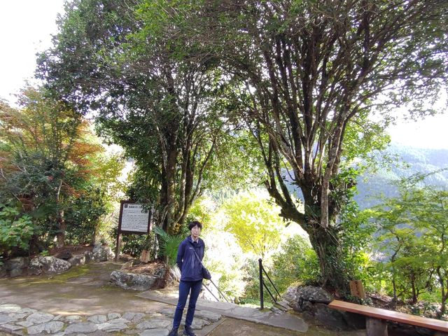 AH̊Ki̗eɂ͔ɑ傫Â؍҂Ƌ؍҂Ă_Ɖ~فiODsdvL`j