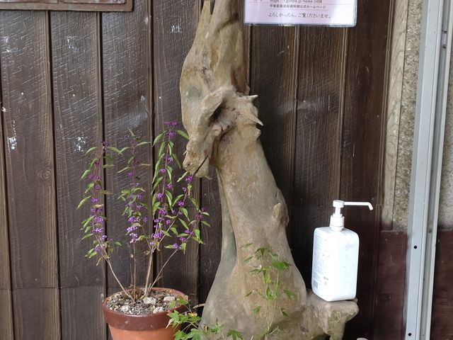 ٓ̎̉ԂƃVJ̊Ɏ͖_Ɖ~فiODsdvL`j