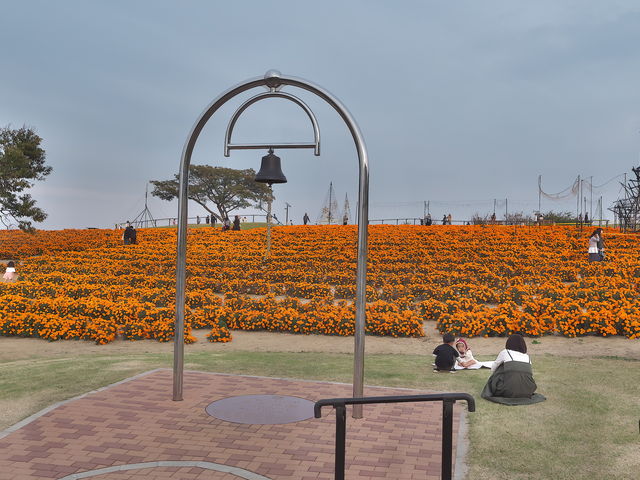 sklfh̃}[S[h̋u̓eʐ^1