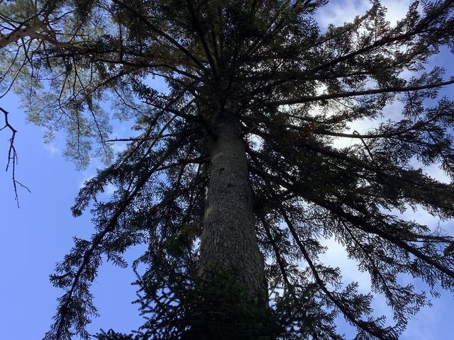 �n�����~�����グ�āc_�O���_��