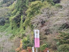 sakky̖؂̉ԃKeւ̓eʐ^1