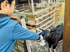 񁚂atelier SARAւ̓eʐ^2