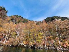 JUN̐AEghAZ^[(X)ւ̓eʐ^1