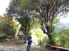 ̕Ɖ~فiODsdvL`jւ̓eʐ^2