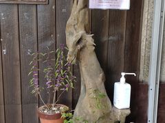 ̕Ɖ~فiODsdvL`jւ̓eʐ^3