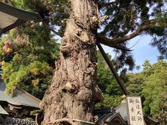 �V�g������̑�2�ԎD���Ɋy���ւ̓��e�ʐ^1