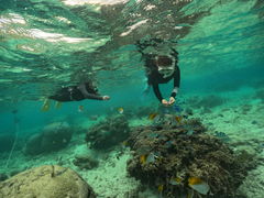 CC̐̓AJiT_CrOւ̓eʐ^1