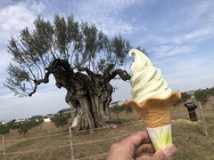 Jack@Bauer̃iKV}t@[@ւ̓eʐ^2