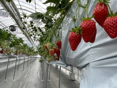 Jack@Bauer̃iKV}t@[@ւ̓eʐ^4