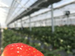 Jack@Bauer̃iKV}t@[@ւ̓eʐ^5