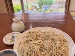 񂳂̉䏶΂ւ̓eʐ^2