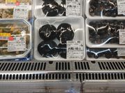 ̓XgA@RǓX̓eʐ^1