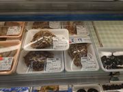 ̓XgA@RǓX̓eʐ^2