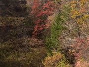 O`̃wuX̂͂@SNOW@WORLD̓eʐ^1