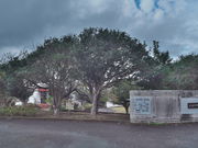 sklfh����̑哇�����y�����ق̓��e�ʐ^1