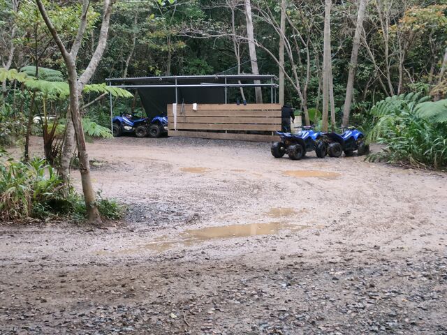 �{�݂̓����ł��I_�����o�����`���[����X