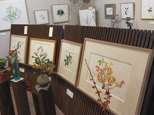 外山康雄 野の花館】アクセス・営業時間・料金情報 - じゃらんnet