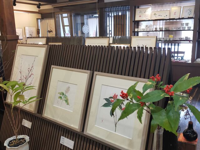 ڂ̊ORNY  ̉Ԋق̓eʐ^5