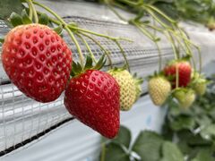 ݂܂񂳂̂̂ւ̓eʐ^1