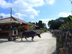 킩񂳂̔dRόtF[ւ̓eʐ^1