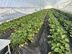 ӂ̃tBI[ 2ndnEXւ̓eʐ^1