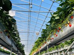 aruken77̃bNt@[s(ƂnEX)ւ̓eʐ^1