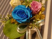 jhanaasobi kaleido̓eʐ^1