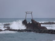 Ƃ炳񂳂̃nCC̓eʐ^1